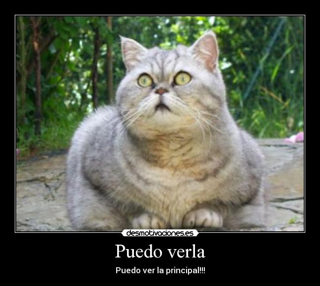 Puedo verla - Puedo ver la principal!!!