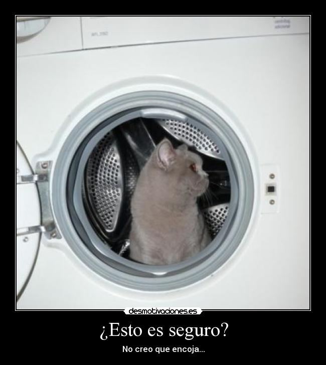 ¿Esto es seguro? -