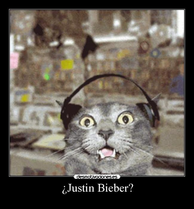¿Justin Bieber? -