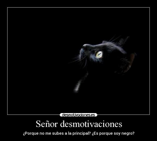 Señor desmotivaciones - 