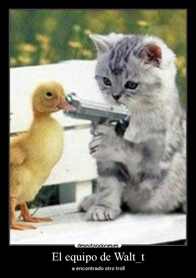 El equipo de Walt_t - a encontrado otro troll
