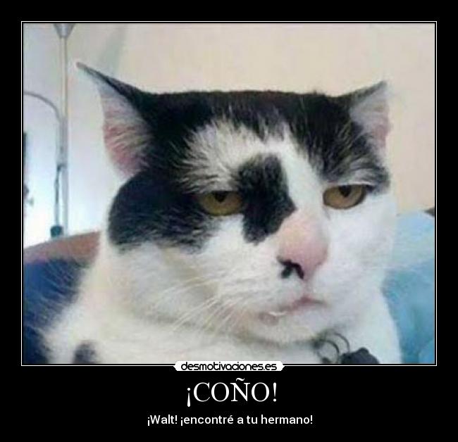 ¡COÑO! -