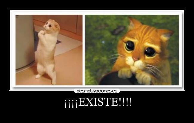 ¡¡¡¡EXISTE!!!! -