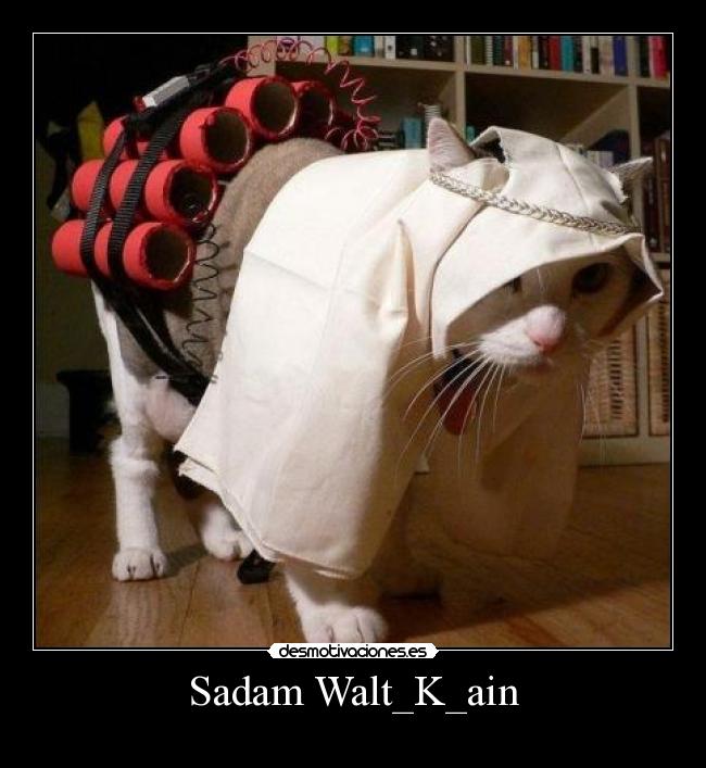 Sadam Walt_K_ain -
