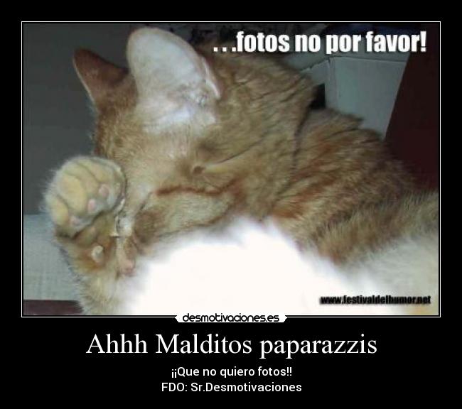 Ahhh Malditos paparazzis - ¡¡Que no quiero fotos!!
FDO: Sr.Desmotivaciones