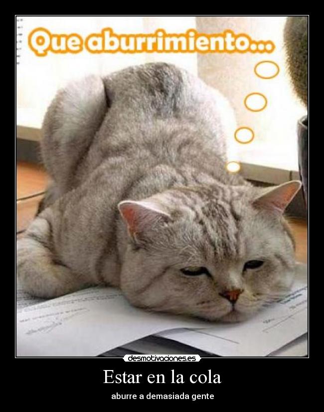Estar en la cola -