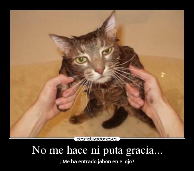 No me hace ni puta gracia... - 