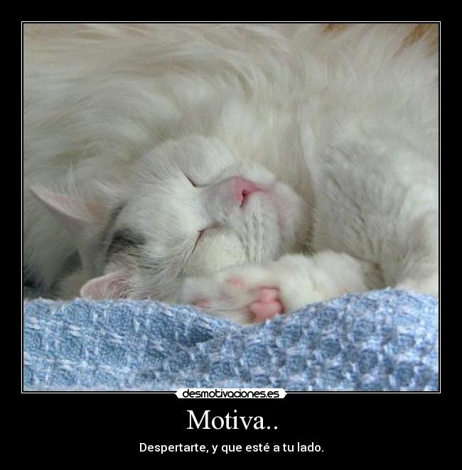 Motiva.. - 