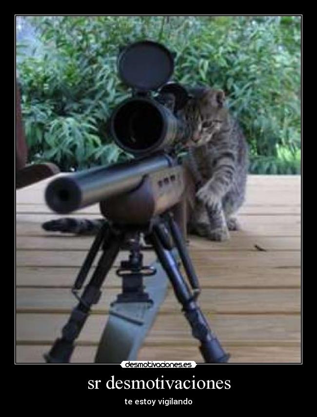 sr desmotivaciones - te estoy vigilando