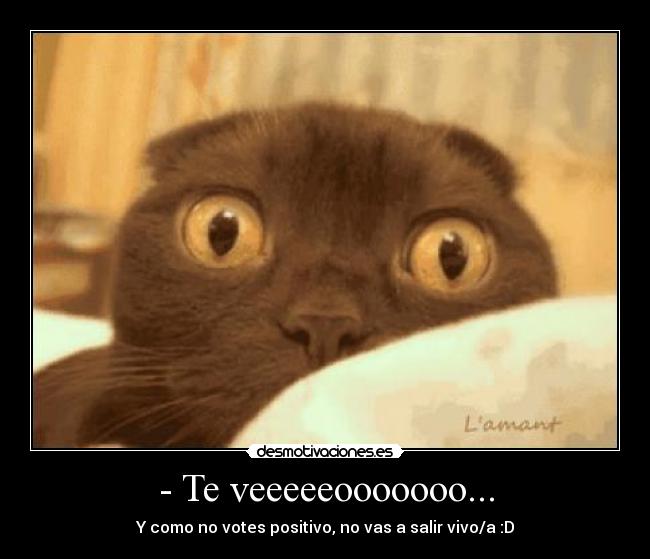 - Te veeeeeooooooo... -