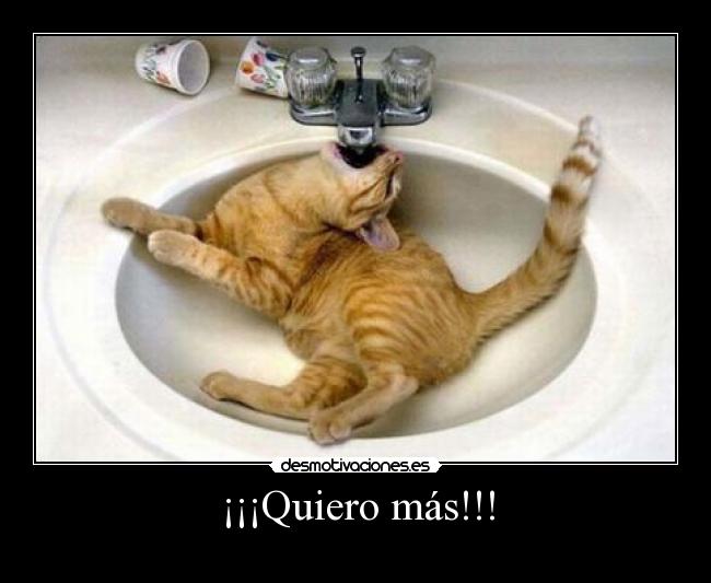 ¡¡¡Quiero más!!! -