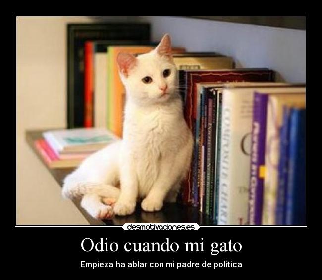 Odio cuando mi gato - 