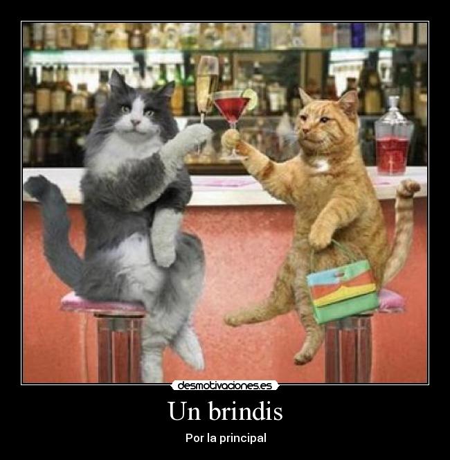 Un brindis -