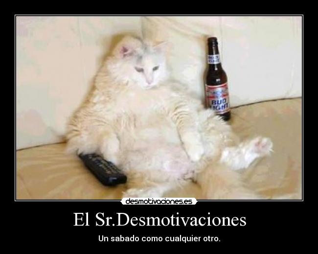 El Sr.Desmotivaciones - Un sabado como cualquier otro.