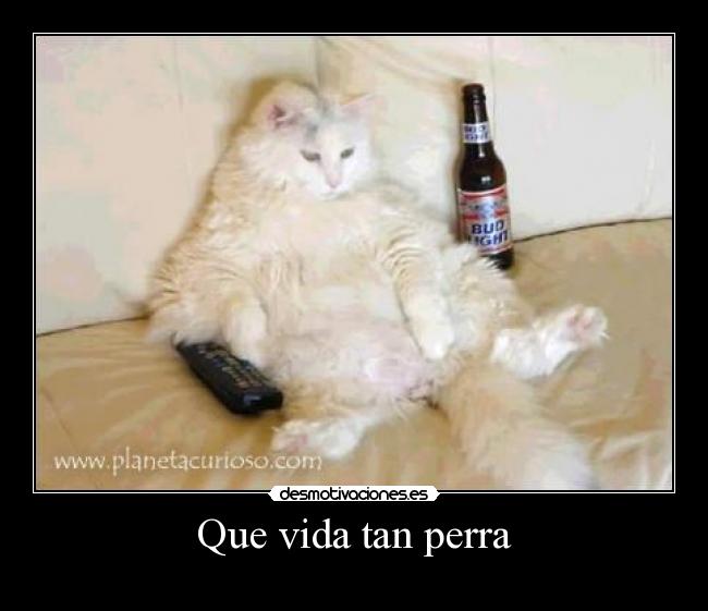 Que vida tan perra -