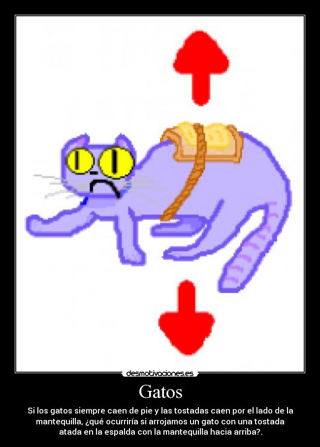 Gatos - Si los gatos siempre caen de pie y las tostadas caen por el lado de la
mantequilla, ¿qué ocurriría si arrojamos un gato con una tostada
atada en la espalda con la mantequilla hacia arriba?.