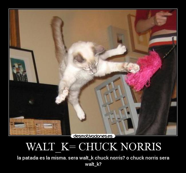 WALT_K= CHUCK NORRIS -