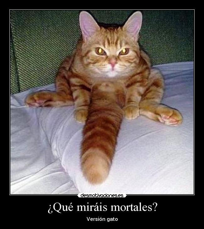 ¿Qué miráis mortales? -