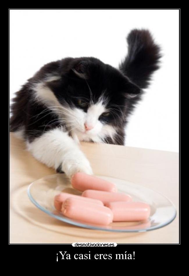 ¡Ya casi eres mía! -