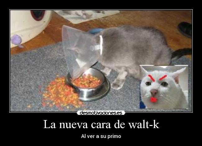 La nueva cara de walt-k - Al ver a su primo