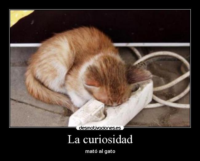 La curiosidad - mató al gato