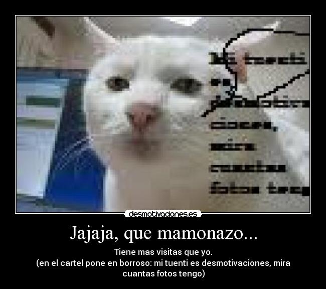 carteles gato desmotivaciones