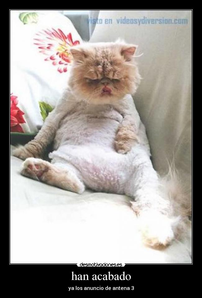han acabado -