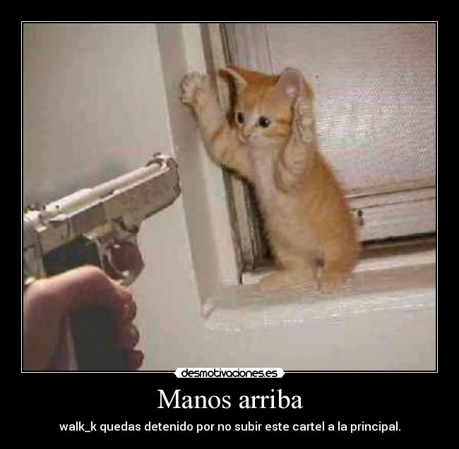 Manos arriba - walk_k quedas detenido por no subir este cartel a la principal.