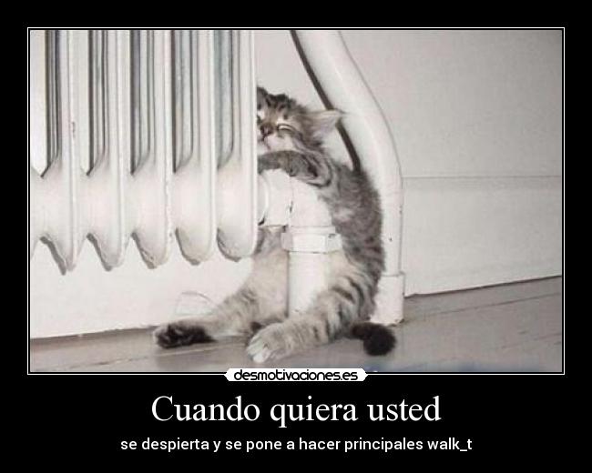 Cuando quiera usted -