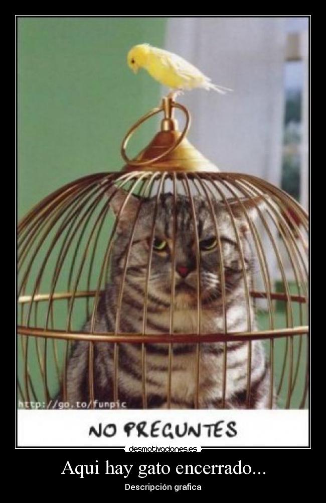 Aqui hay gato encerrado... -
