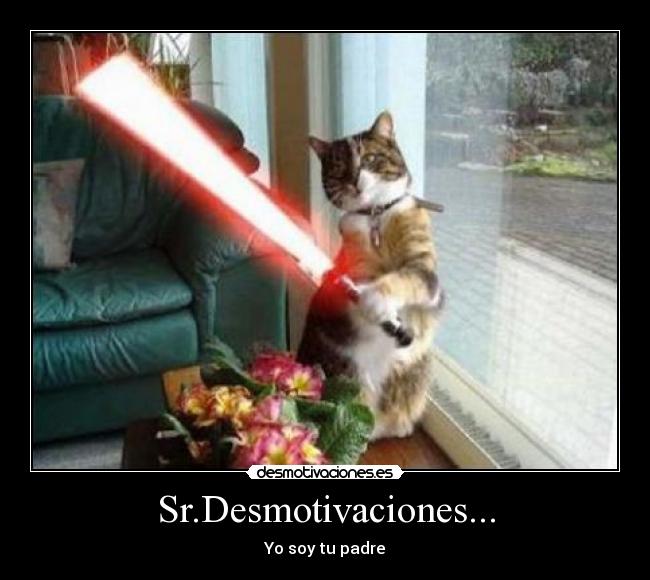 Sr.Desmotivaciones... - 