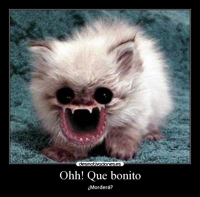 Ohh! Que bonito - ¿Morderá?