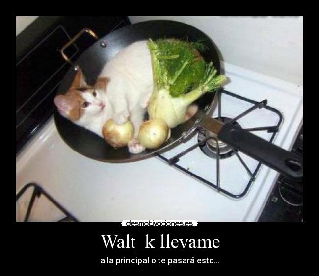 carteles walt_k llevame desmotivaciones