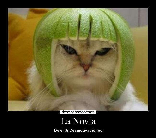 La Novia -