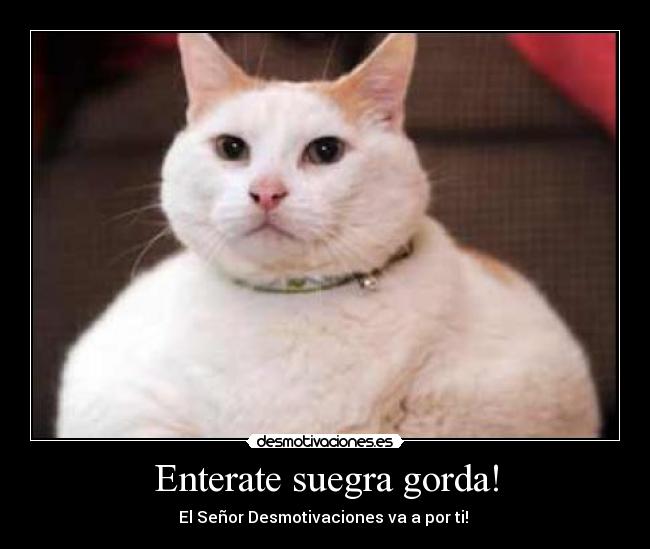Enterate suegra gorda! - 