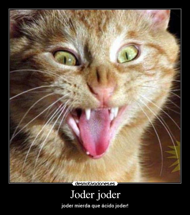 carteles cara acida desmotivaciones