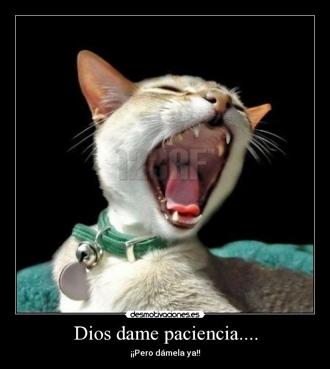 Dios dame paciencia.... - ¡¡Pero dámela ya!!