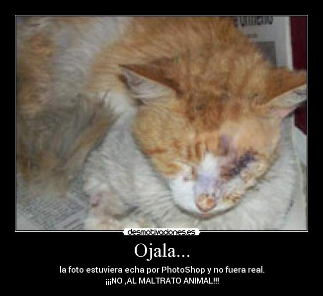 Ojala... -