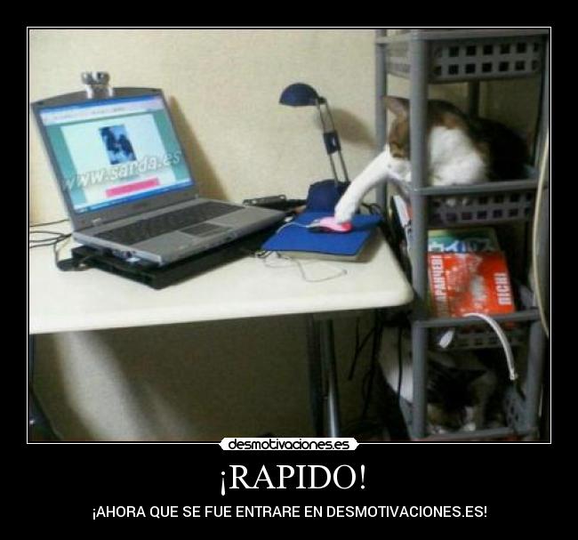 ¡RAPIDO! - 