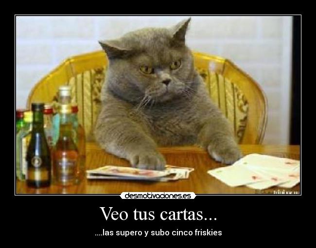 Veo tus cartas... - ....las supero y subo cinco friskies