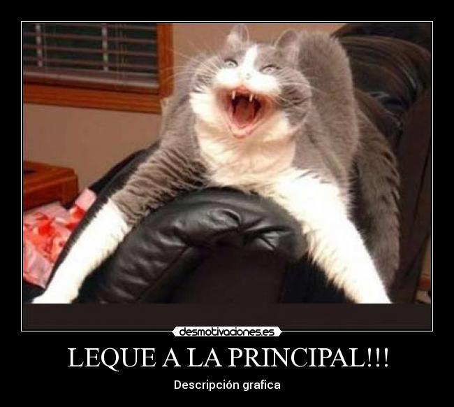 LEQUE A LA PRINCIPAL!!! -