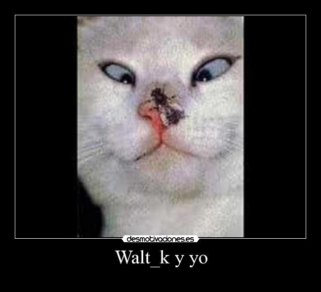 Walt_k y yo -