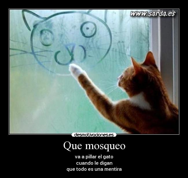 Que mosqueo - va a pillar el gato
cuando le digan
que todo es una mentira