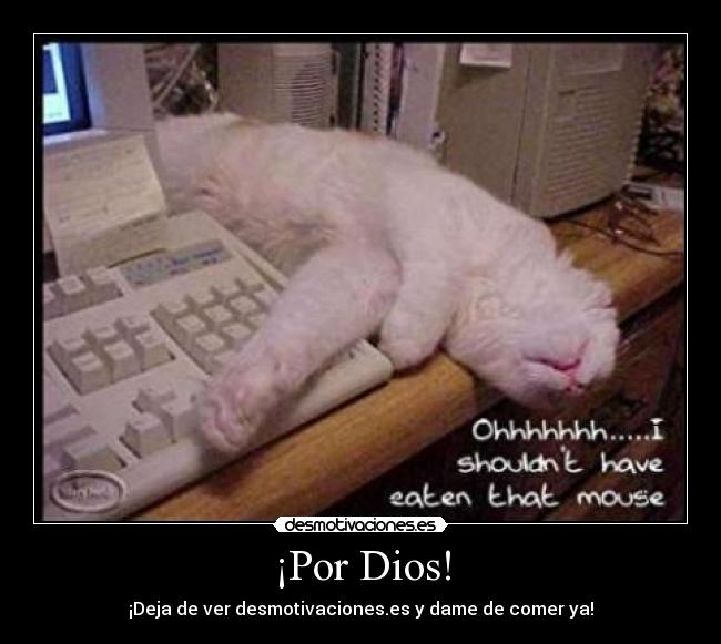 ¡Por Dios! - ¡Deja de ver desmotivaciones.es y dame de comer ya!
