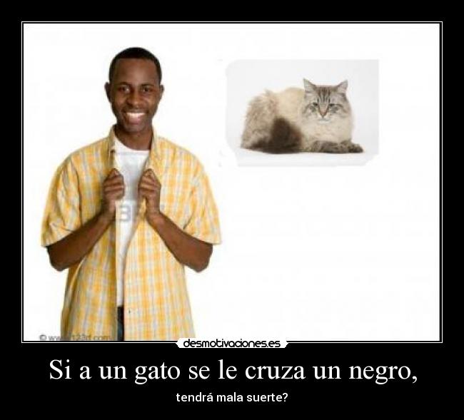 Si a un gato se le cruza un negro, - 