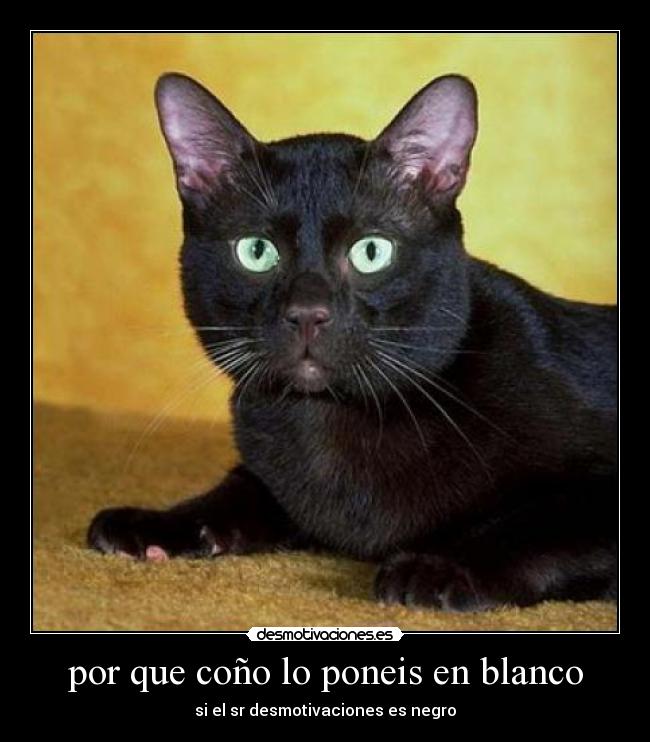por que coño lo poneis en blanco - 