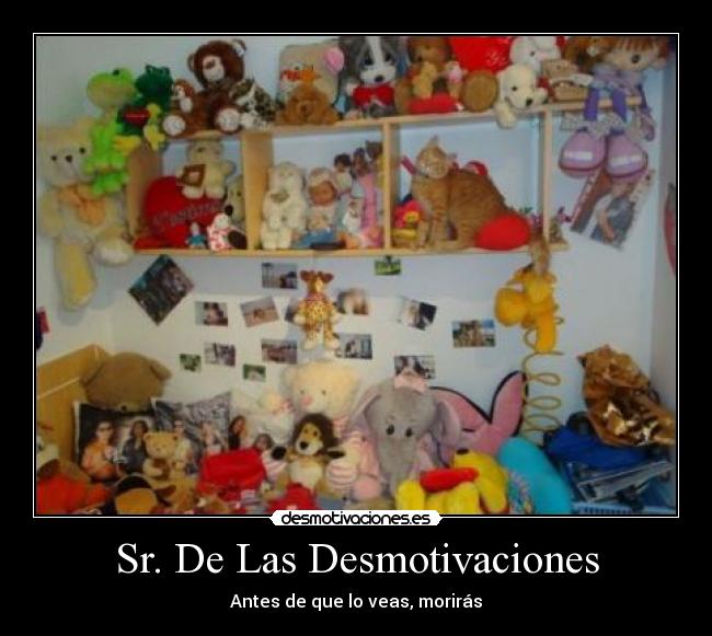 Sr. De Las Desmotivaciones - 