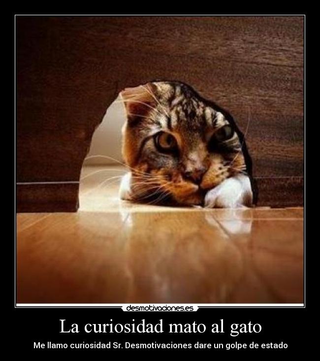 La curiosidad mato al gato -