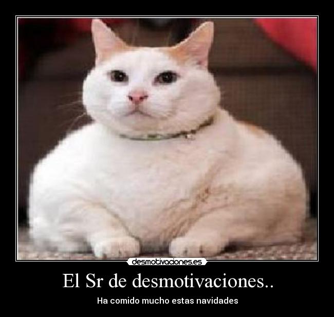 El Sr de desmotivaciones.. -