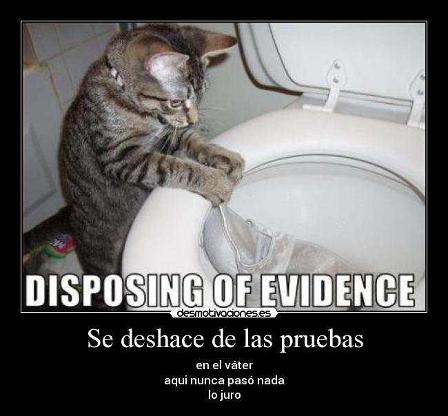 carteles gato desmotivaciones